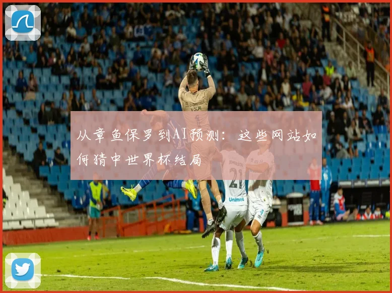 从章鱼保罗到AI预测：这些网站如何猜中世界杯结局