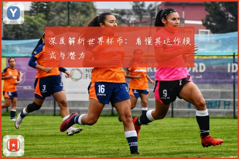 深度解析世界杯币：看懂其运作模式与潜力
